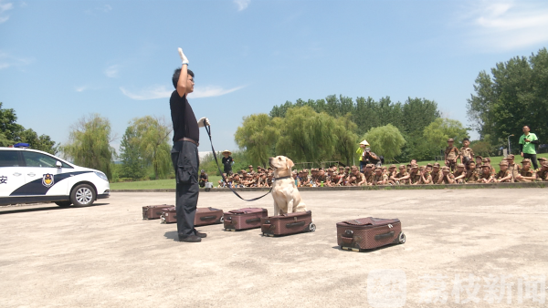江蘇南京：感受“特警力量” 探秘現(xiàn)實(shí)中兩支反恐精英部隊(duì)(組圖)