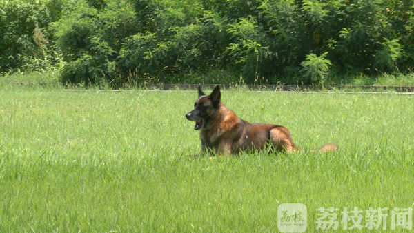江蘇南京：感受“特警力量” 探秘現(xiàn)實(shí)中兩支反恐精英部隊(duì)(組圖)